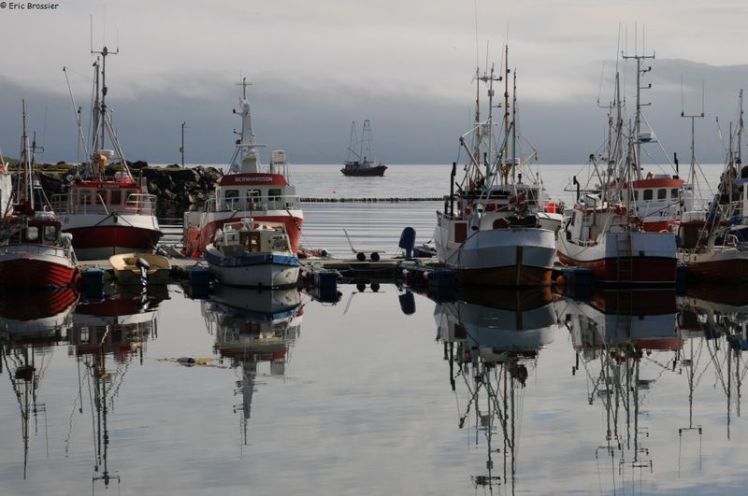 Le_Manguier_Berlevag