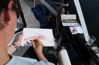 France_dessine_king_crab