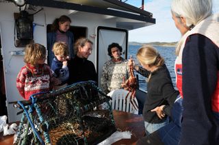 Observation_king_crab