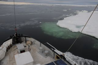 497_Le_Manguier_brise_jeune_glace_3