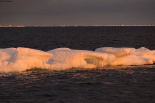 501_Glaces_detroit_Vilkitsky