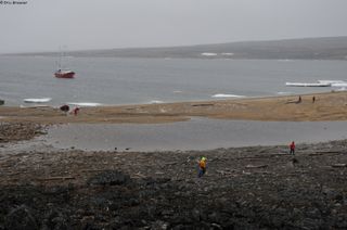 421_Collecte_bois_ile_Bianki