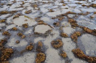 435_Effet_du_gel_sur_toundra