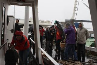 Départ de Bastia (9) Départ de Bastia (9)