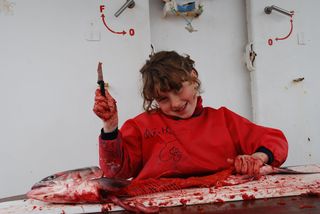 à découper le saumon