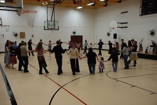 Tarentella alaskane Tarentella alaskane