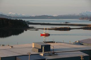 Le Manguier passing caneries e