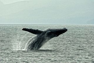 2892694235_3b9a42f3d0_o