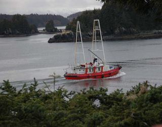 Le Manguier in Near Island Chanel e