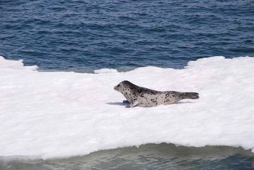 6a00e54f02354d88340192ab24434f970d