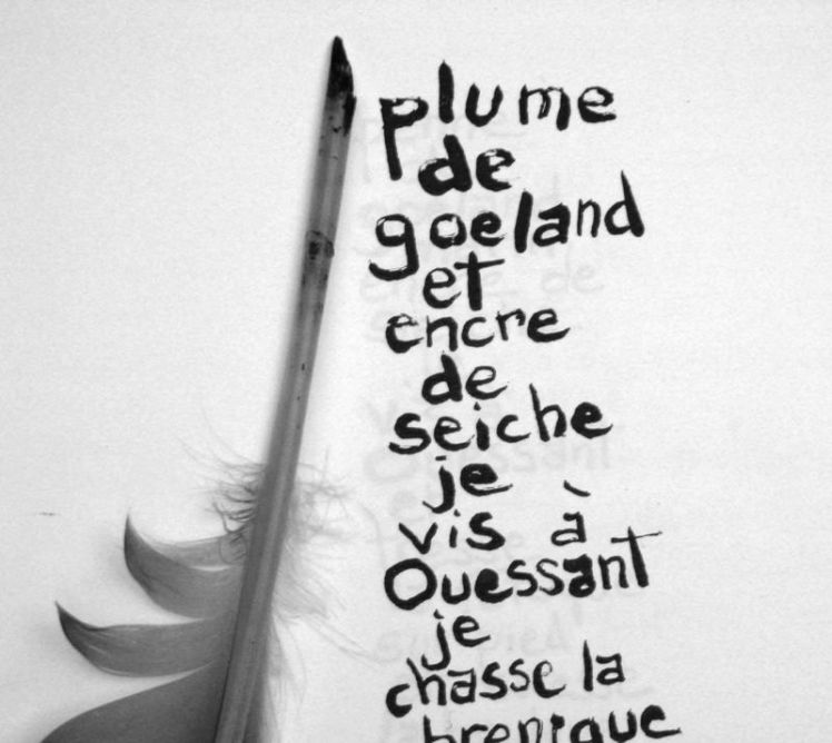 Illustre-plume-texte-2-encre-de-seiche