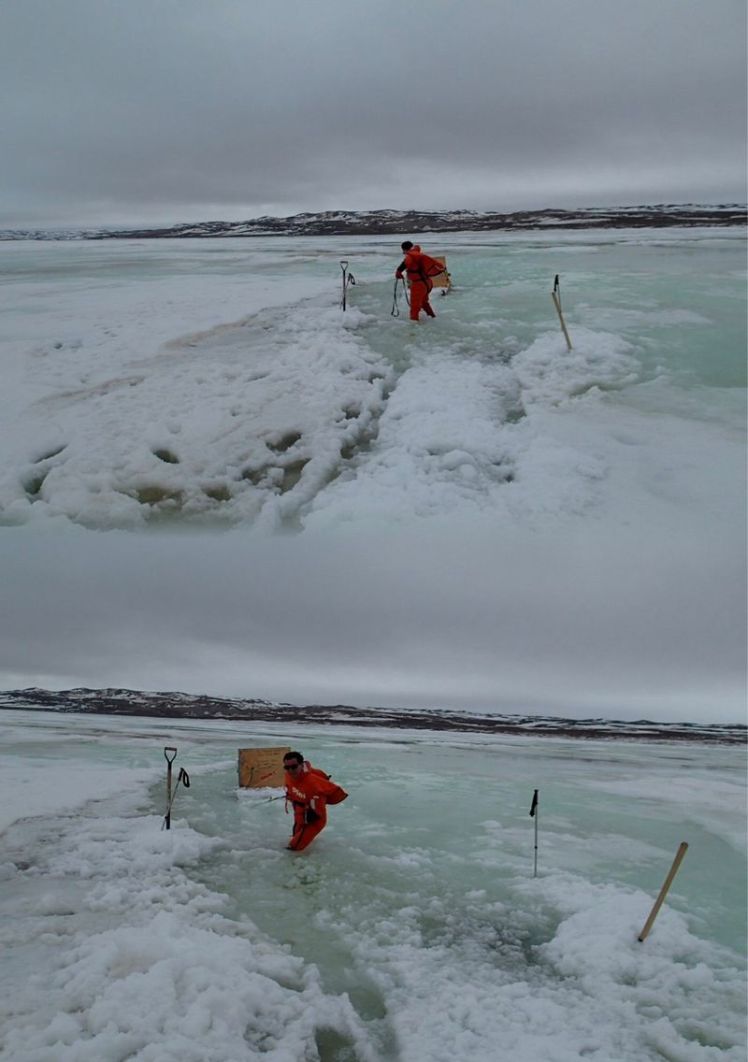 P5090034_2 P5090034_2