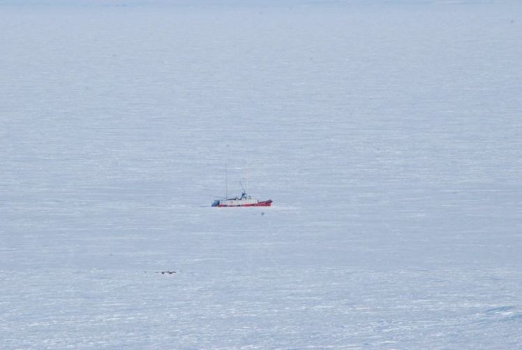 Manguier into the wild