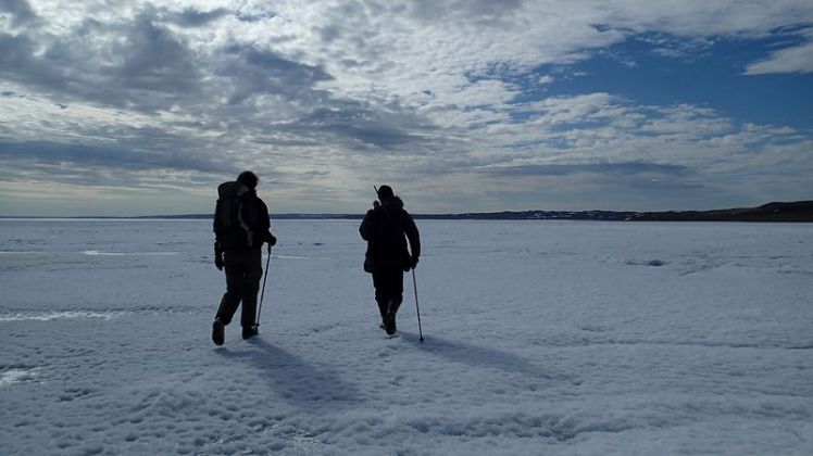 Sur la glace Sur la glace