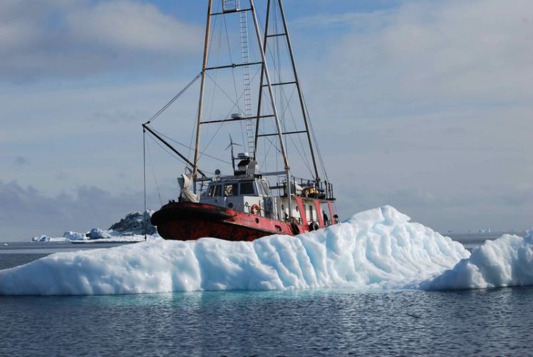 Manguier-glace-aasiaat Manguier-glace-aasiaat