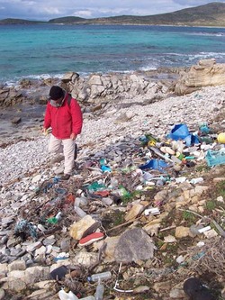 Poubelle_2 Poubelle_2