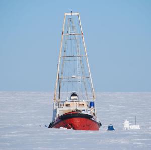 Hivernage du Manguier