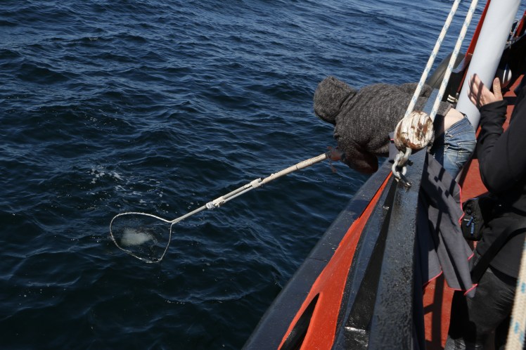 11- Anthony pêche du iceberg