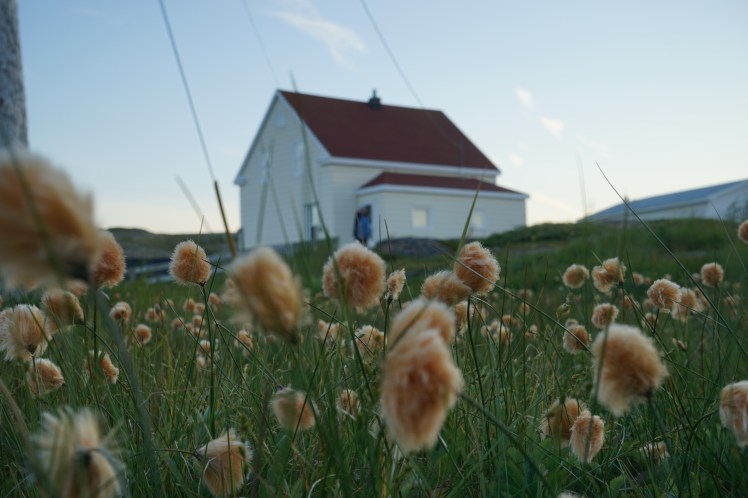 16- La nature est tout autour, elle ébloui